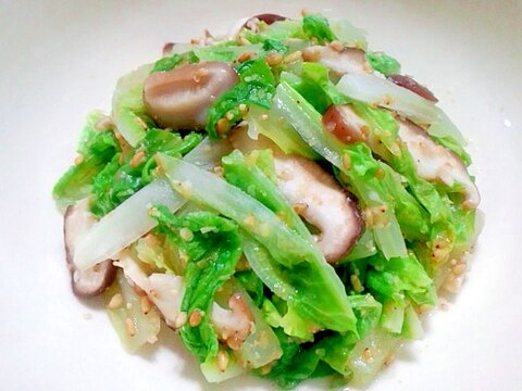 白菜と椎茸の胡麻塩麹サラダ